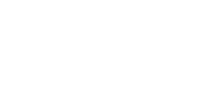 google-partner